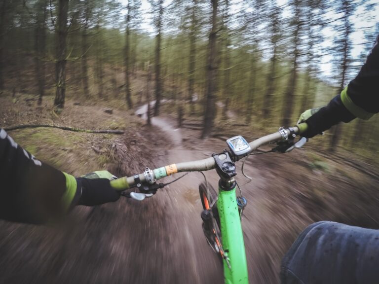 Find the Right Bike for Every Rider at SpeedVibez.com