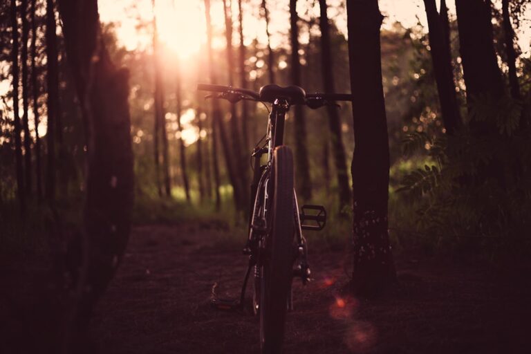 Experience Unmatched Quality and Style with Bikes from SpeedVibez